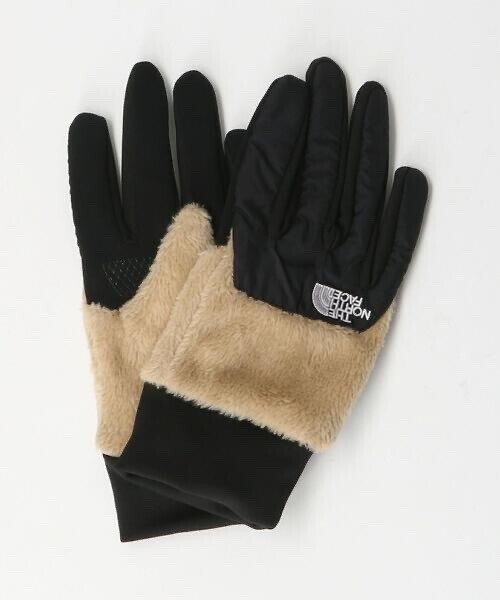THE NORTH FACE デナリ イーチップ グローブ -タッチスクリーン-