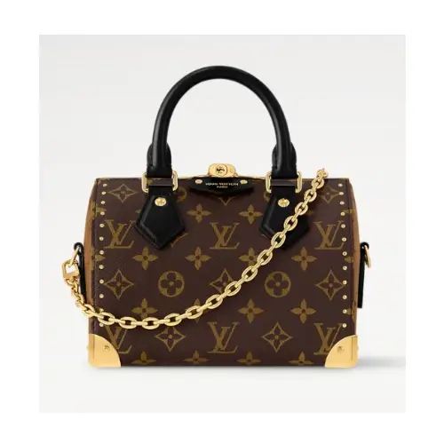 LOUIS VUITTON スピーディ･トランク 20