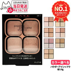 KATE ケイト ポッピングシルエットシャドウ RD-1