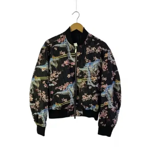 DIOR ダイナソーロボボンバージャケット