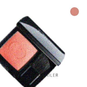 DIOR ディオールスキン ルージュ ブラッシュ 439 ホワイ ノット