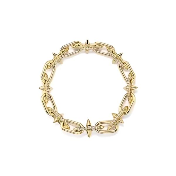 Tiffany & Co. ネックレス イエローゴールドにダイヤモンドをセッティング