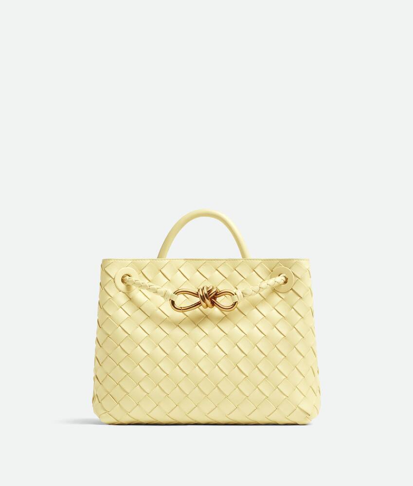 Bottega Veneta スモール アンディアーモ