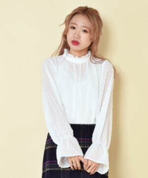 w closet リボン柄シフォンドビーブラウス