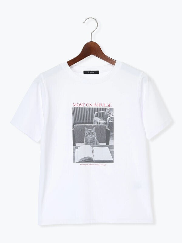 Te chichi Te chichi  アソートネコフォトスタンダードTシャツ