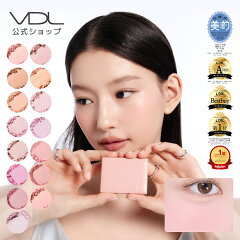 VDL チークステイン ブラッシャー 15