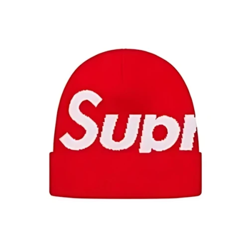 Supreme Big Logo beanie