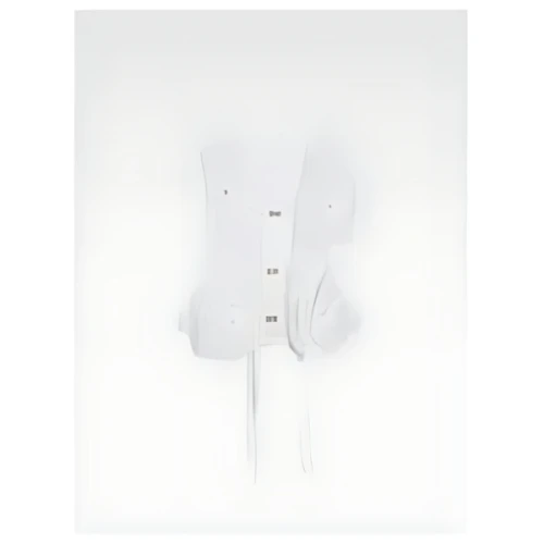 JACQUEMUS Lace cargo vest.