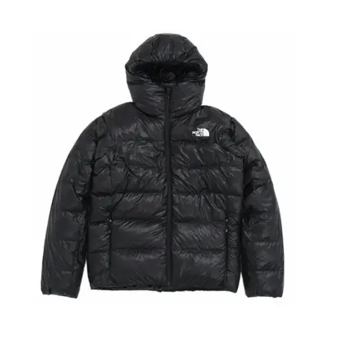 THE NORTH FACE アルパイン ヌプシ フーディ