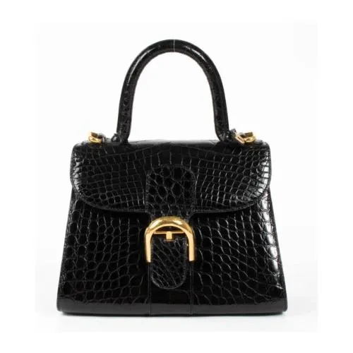 Delvaux Shiny Crocodile Brillant PM Bag