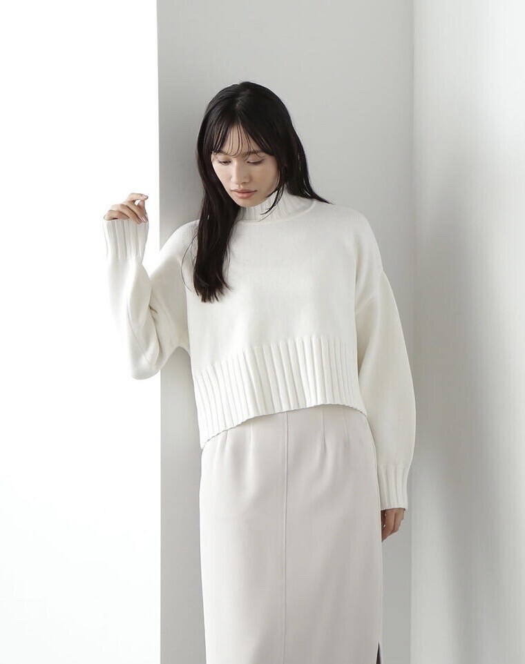 NATURAL BEAUTY BASIC ハイネックテントラインショートニット