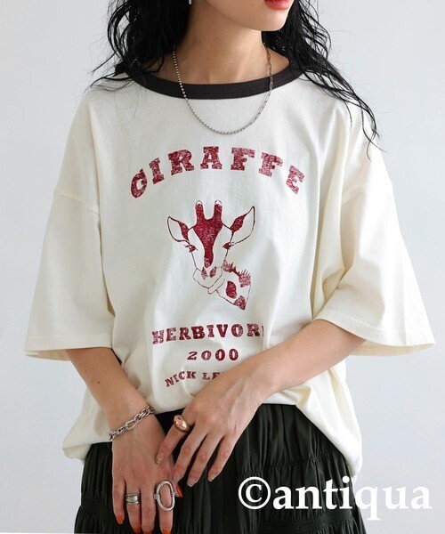 antiqua アニマルカレッジTシャツ