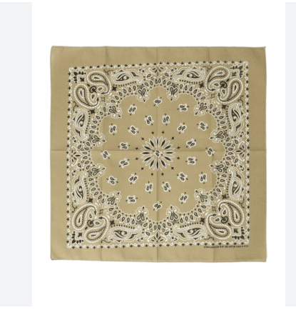 SHIPS USA PAISLEY BANDANNAS