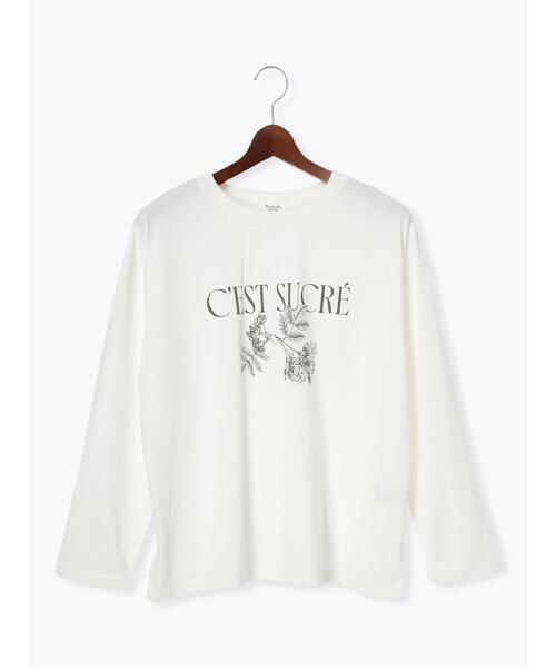 Te chichi TERRASSE 【抗菌防臭】フロントプリントロングTシャツ