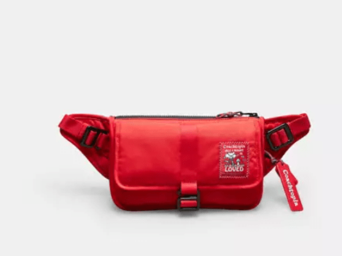 COACH コーチトピア ループ クロスボディ ベルト バッグ