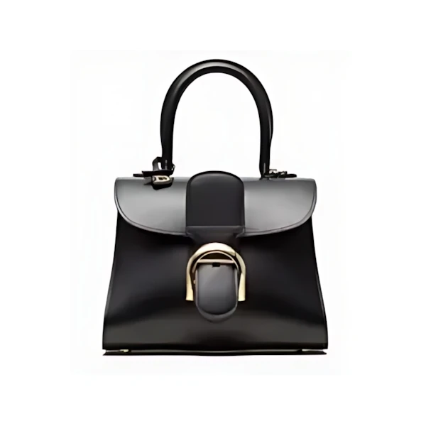 Delvaux ブリヨン ミニ