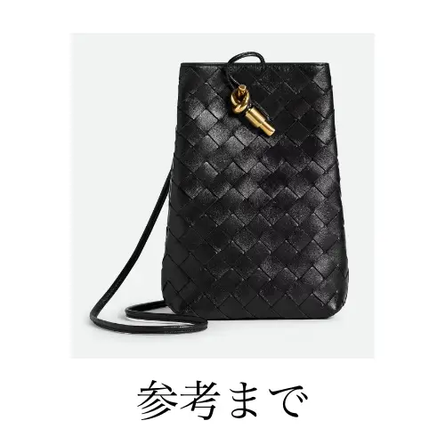 BOTTEGA VENETA アンディアーモ フォンポーチ