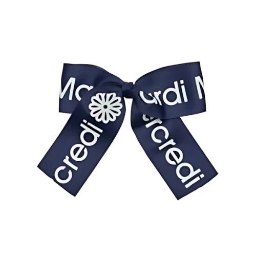Mardi Mercredi HAIR CLIP LOGO RIBBON