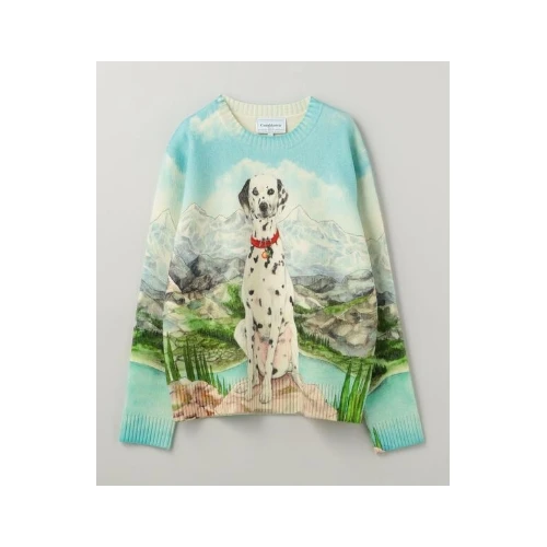 CASABLANCA DALMATIAN A LA◆