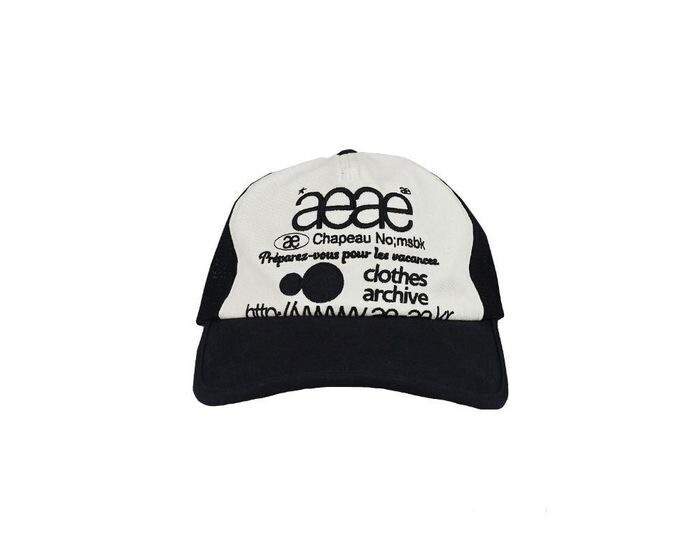 AEAE Web Logo Mesh Cap