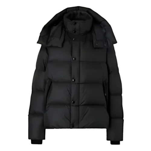 BURBERRY パデッドジャケット
