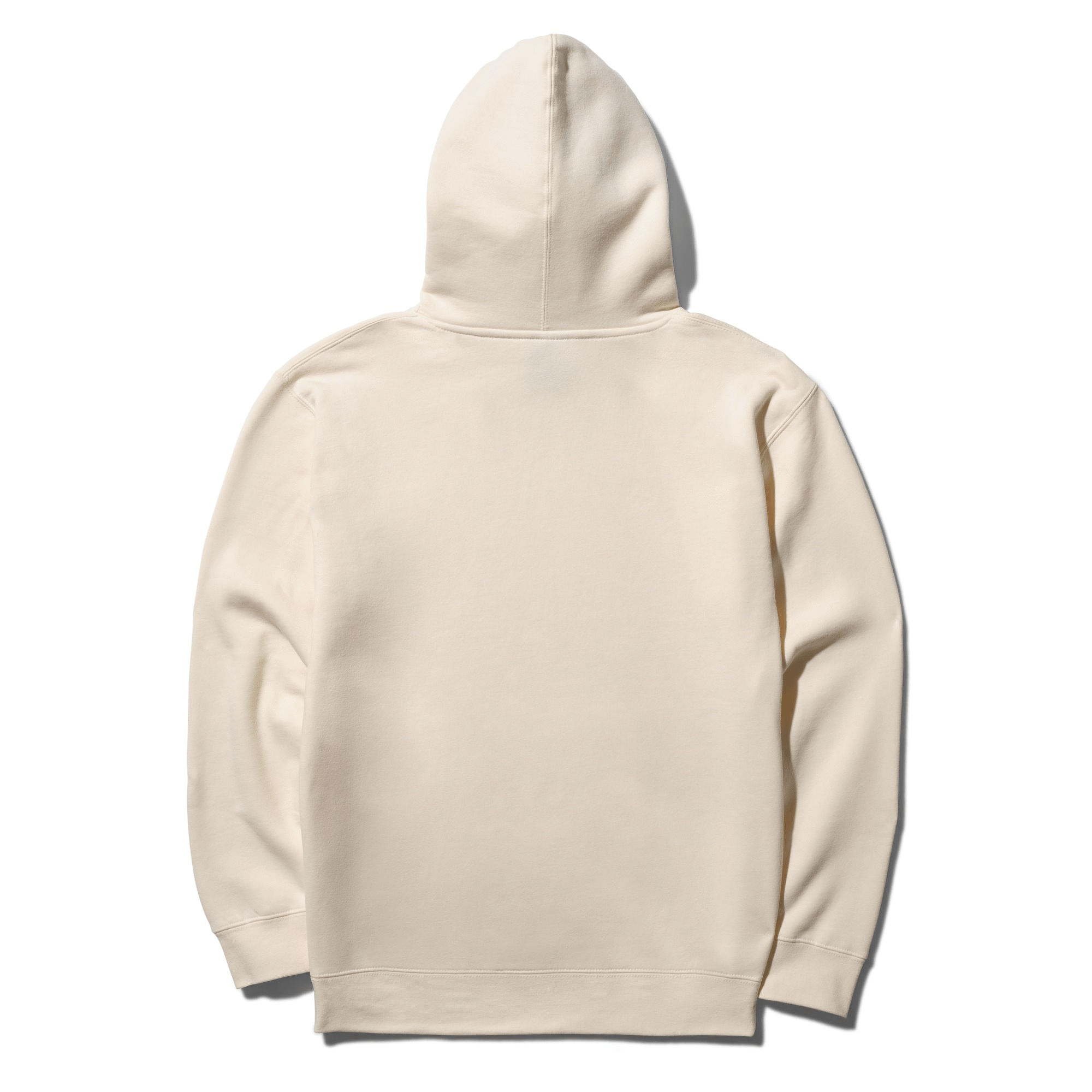 STANCE STANCE ESTABLISHED HOODIE