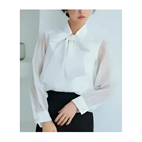 RUIRUE BOUTIQUE タックスタンドカラーオーガンジーシアーボウタイブラウス