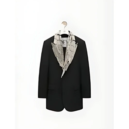 LOEWE Embroidered jacket in wool