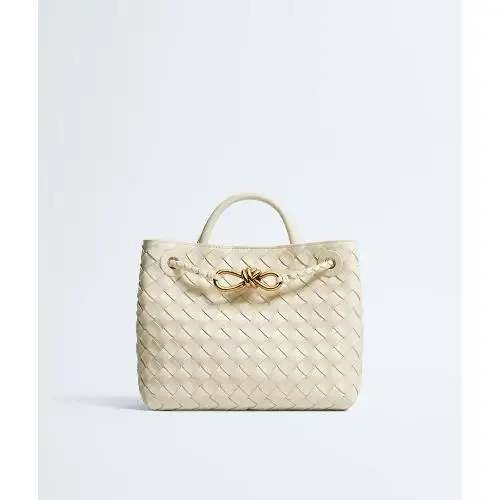 BOTTEGA VENETA Small Andiamo