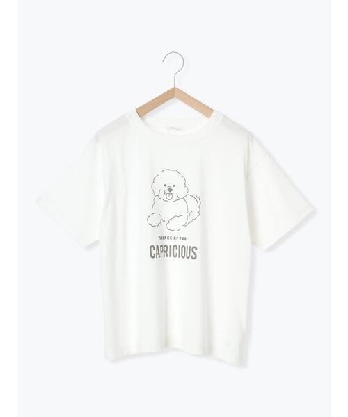 ehka sopo ビションフリーゼTシャツ