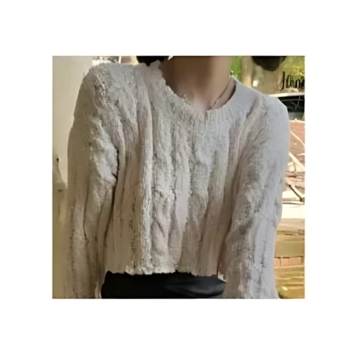SHEIN Honeyspot 無地柄 ドロップショルダー クロップセーター