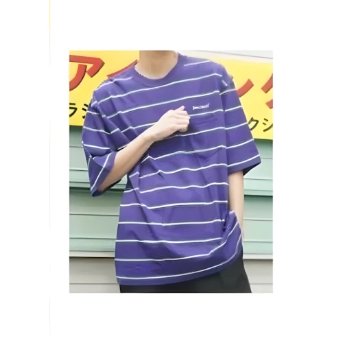 BEN DAVIS ヘビーテンジクボーダーBIGTシャツ
