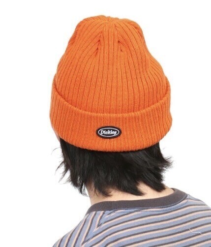 Dickies LOGO WAPPEN KNIT CAP
