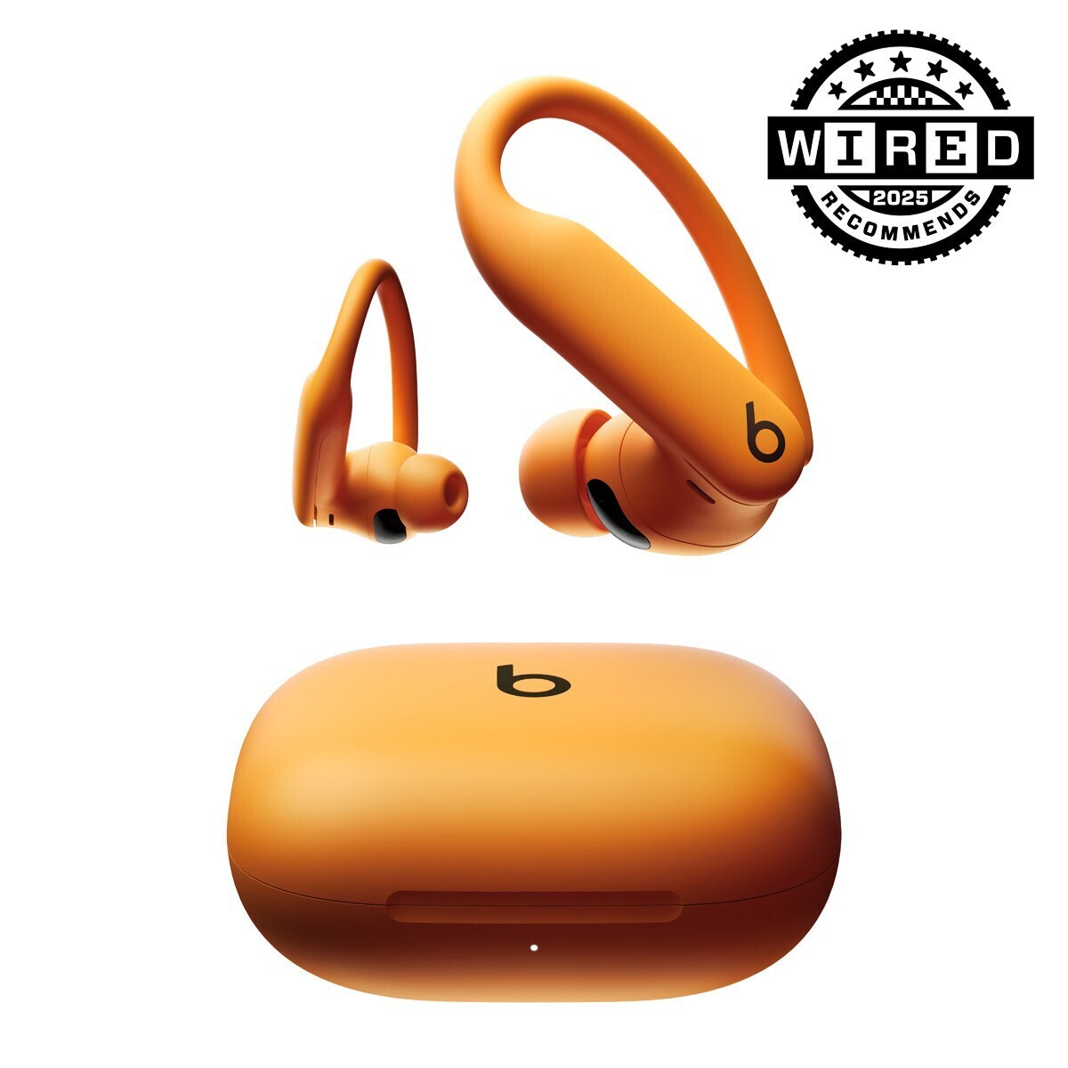 Beats by Dr. Dre Powerbeats Pro 2