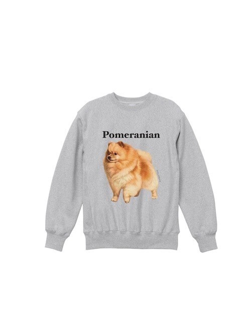 gray Pomeranian：gray original Dog face & breed printed Sweat