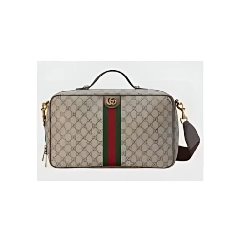 GUCCI シューズケース