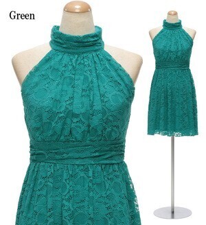 DressLine 総レースハイネック フレアワンピースドレス