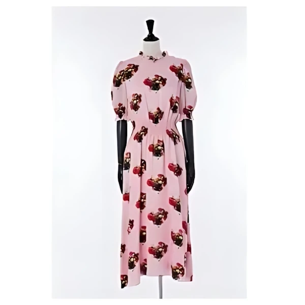 ADAM LIPPES dress
