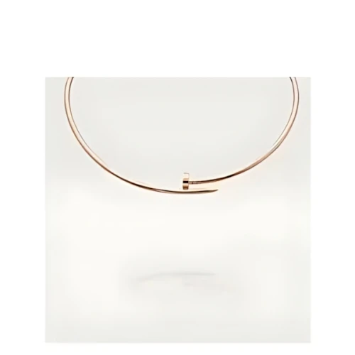 Cartier uste un Clou torque necklace
