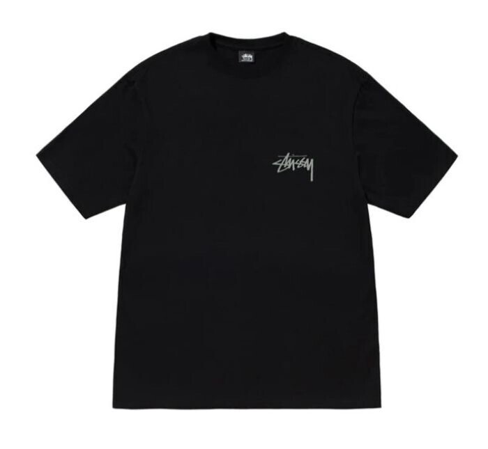 STUSSY LANDIN TEE