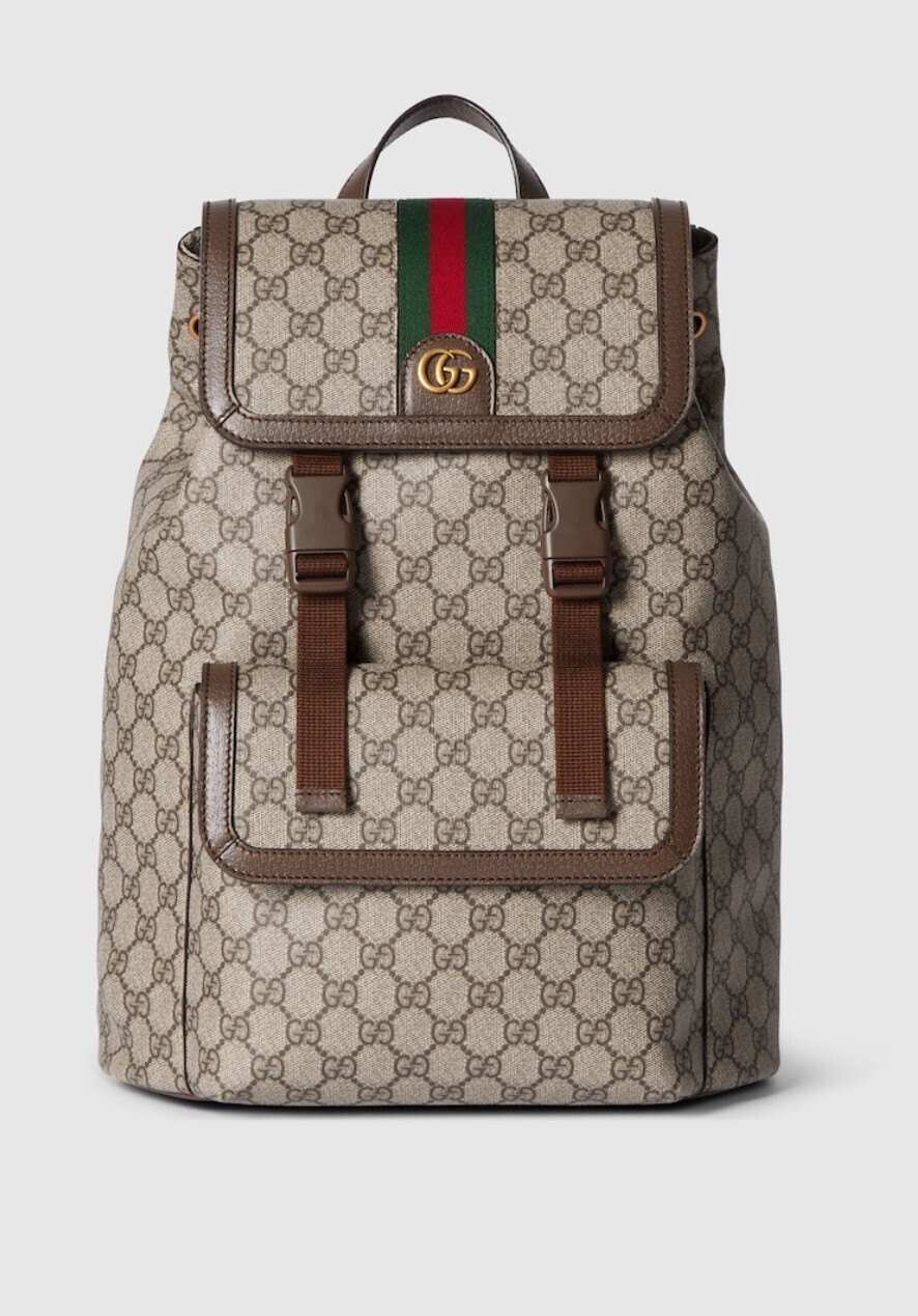 GUCCI 〔オフィディア〕GG スモール バックパック