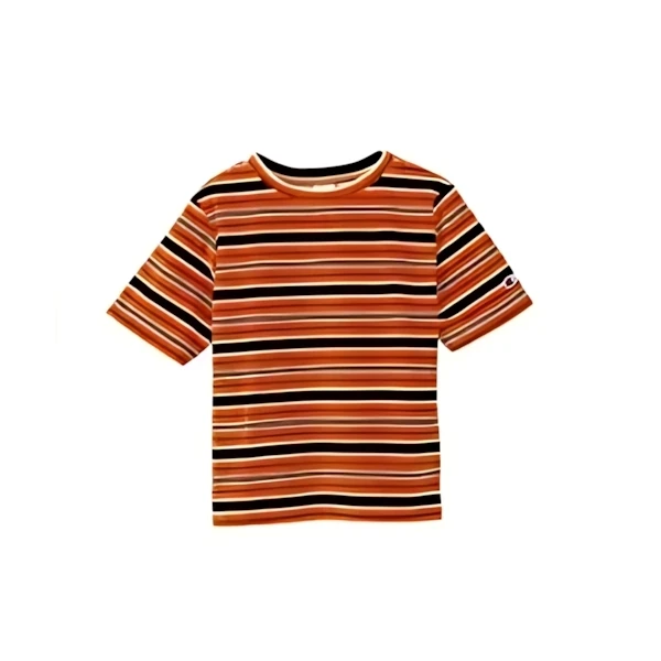 CHAMPION ショートスリーブボーダーTシャツ