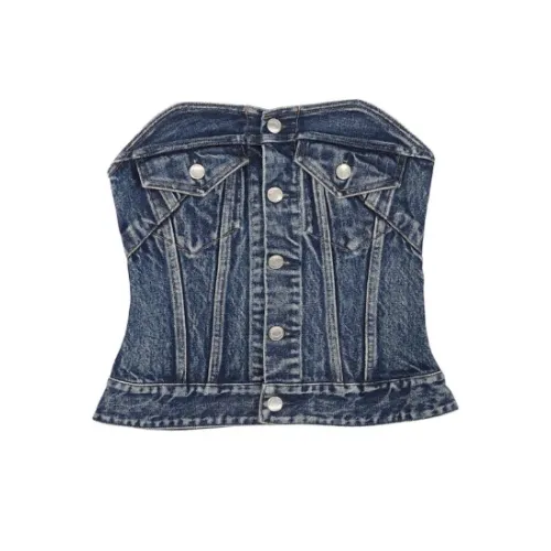 TANAKA BUSTIER