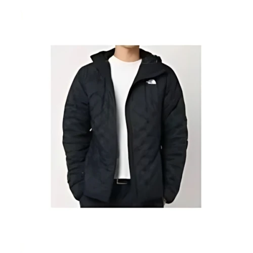 THE NORTH FACE アストロライトフーディ