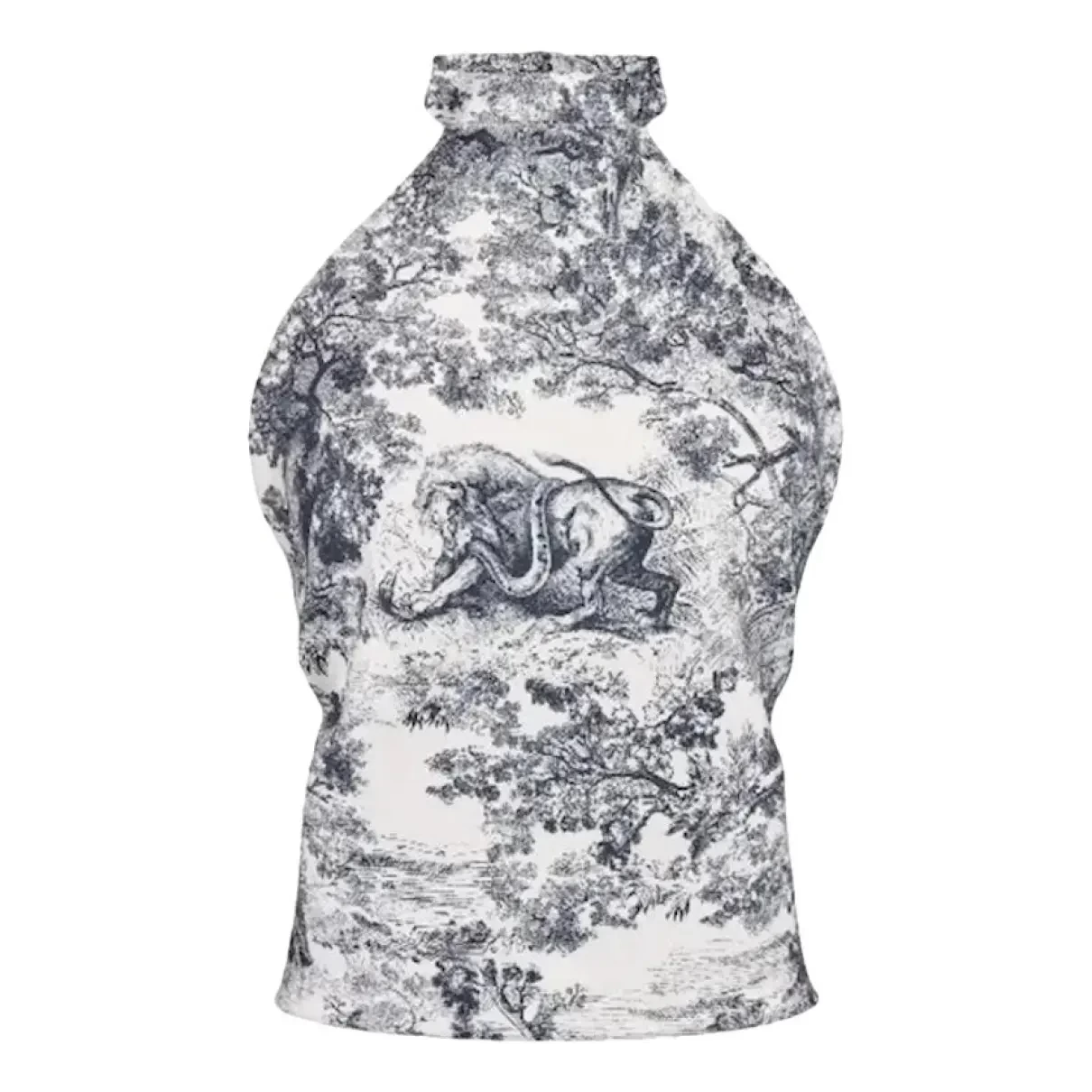 Dior Diiriviera silk top