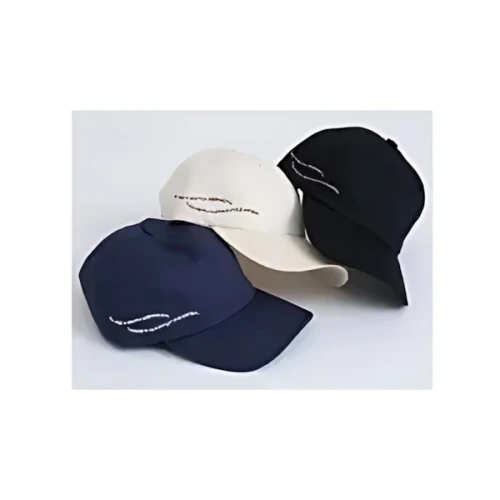 willfully WILLFULLY 10th embroidery logo CAP