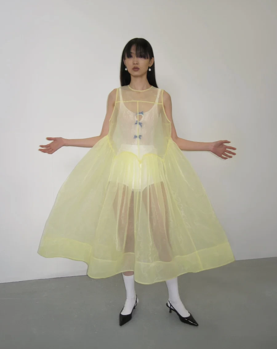 Bibiy. BIANCA SHEER DRESS