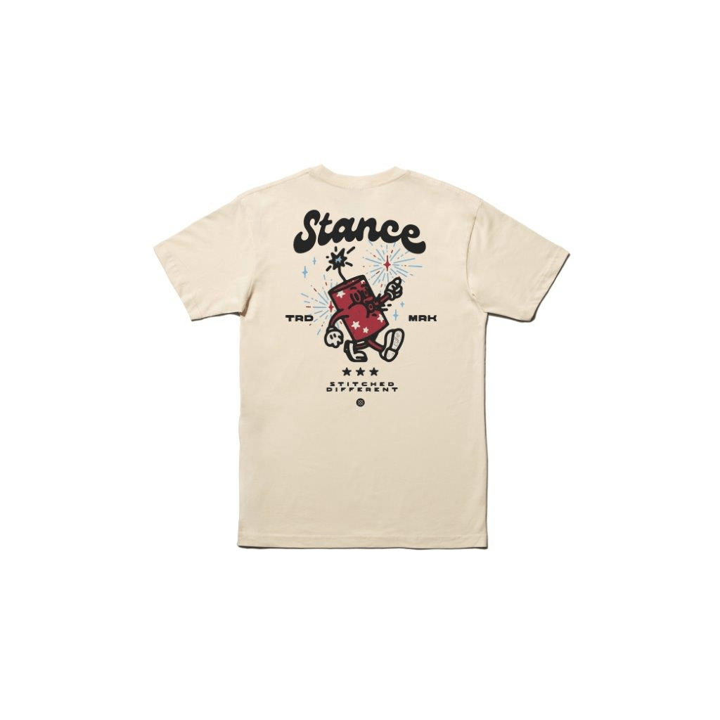 STANCE CELEBRATE SS