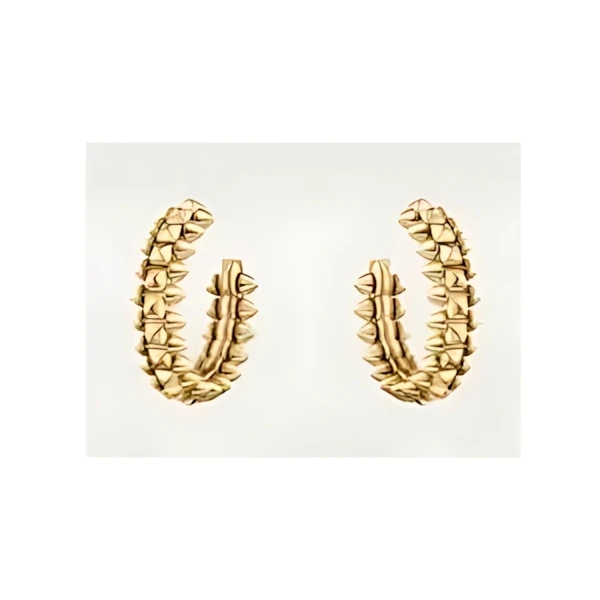 Cartier Clash de Cartier earrings(参考まで)