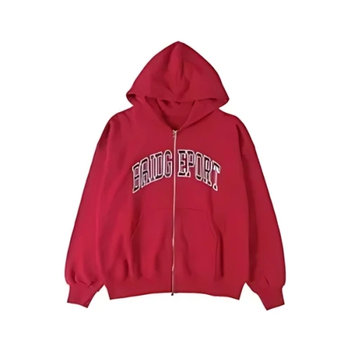 WEGO カレッジロゴビッグジップパーカー